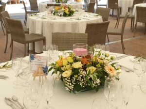 Événement privé à L&rsquo;Île de Tara près de Muret