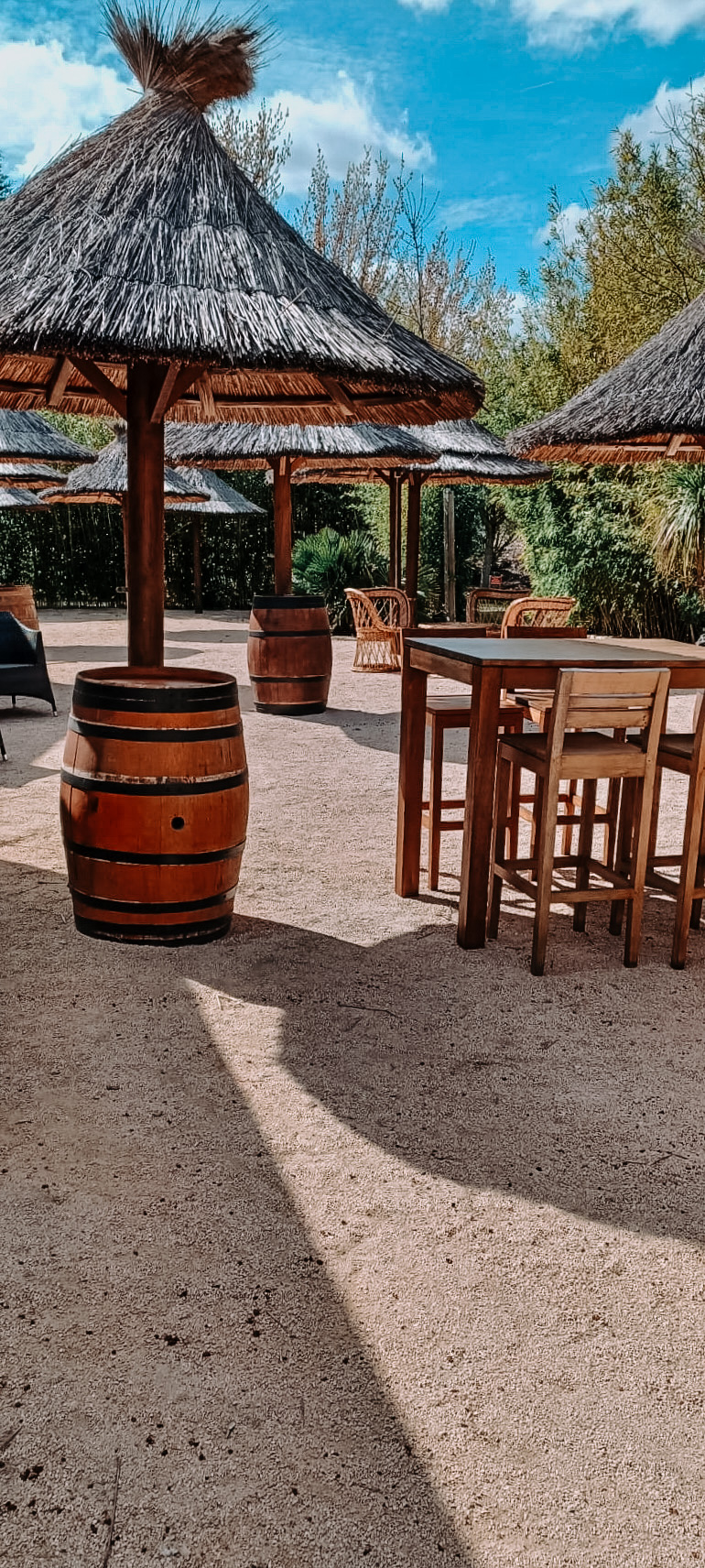 774bd987-0afb-4fdf-babc-a5365e875eaf-copie