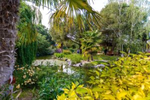 location-de-domaine-pour-evenements-pres-de-toulouse-ile-de-tara-14-_1