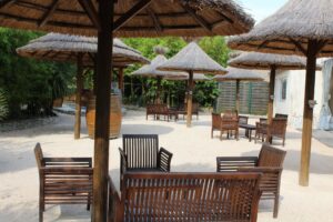 location-de-domaine-pour-evenements-pres-de-toulouse-ile-de-tara-20-_1