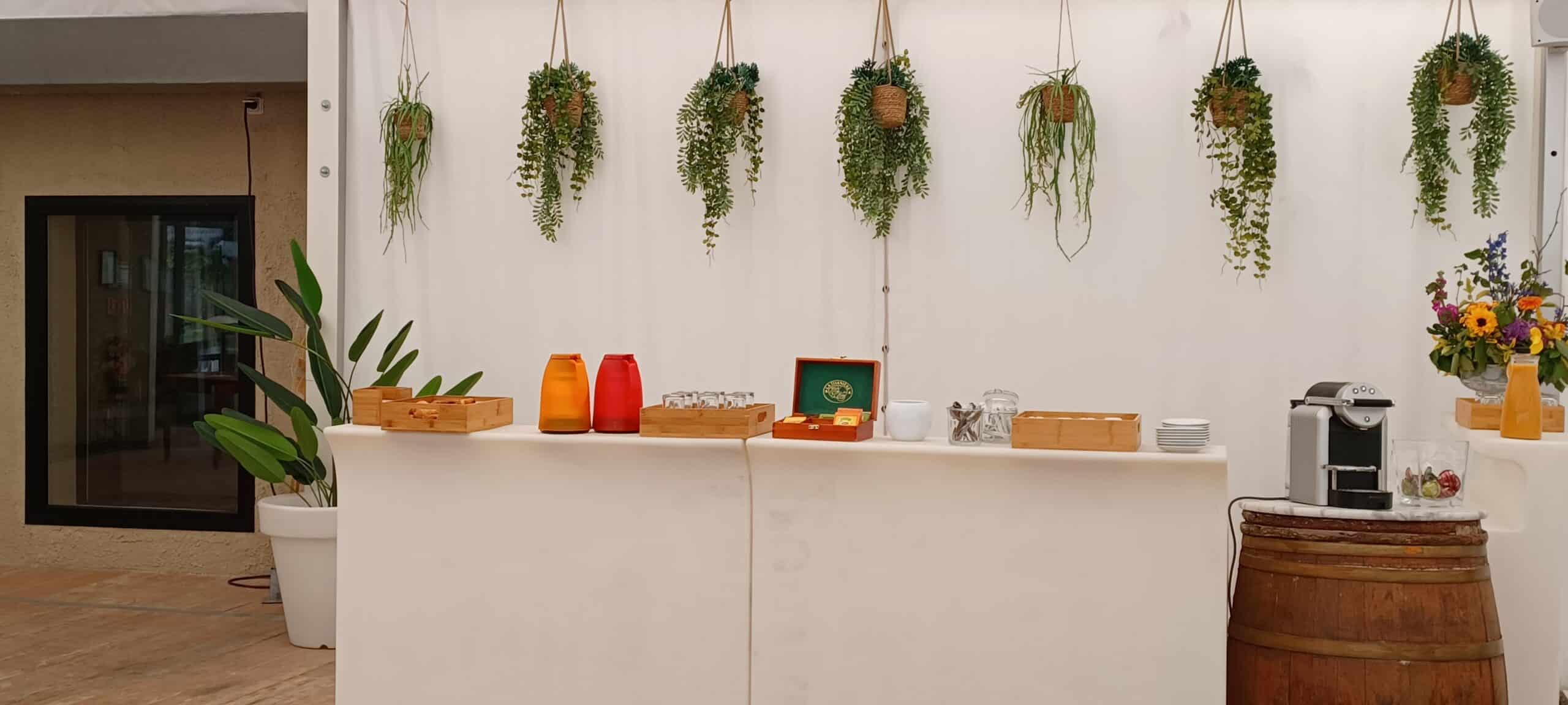 Buffet petit-déjeuner avec station café Nespresso et thé sur un bar blanc décoré de plantes suspendues.