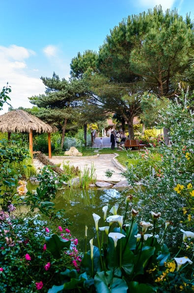 Jardin paysager avec étang, arums blancs, hutte en paille et grands pins sous un ciel bleu ensoleillé.